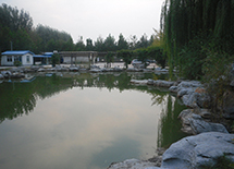 ̫��ʯ�����D