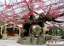 ˮ��٘�(sh��)2