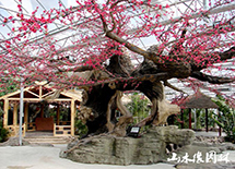 ���B(t��i)�͏d