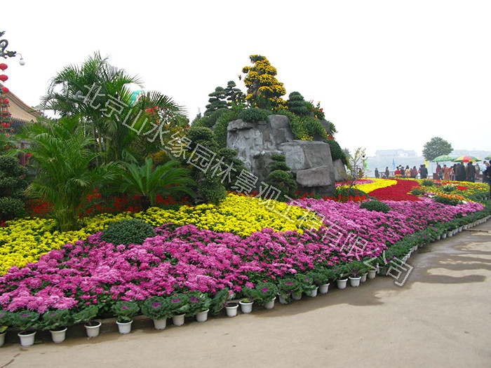 �����(xi��ng)Ŀ4